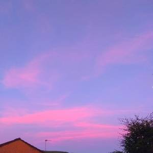 电影《哺乳战士》免费观看
